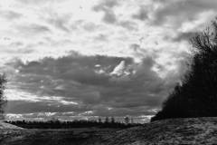 DSC_4420_06